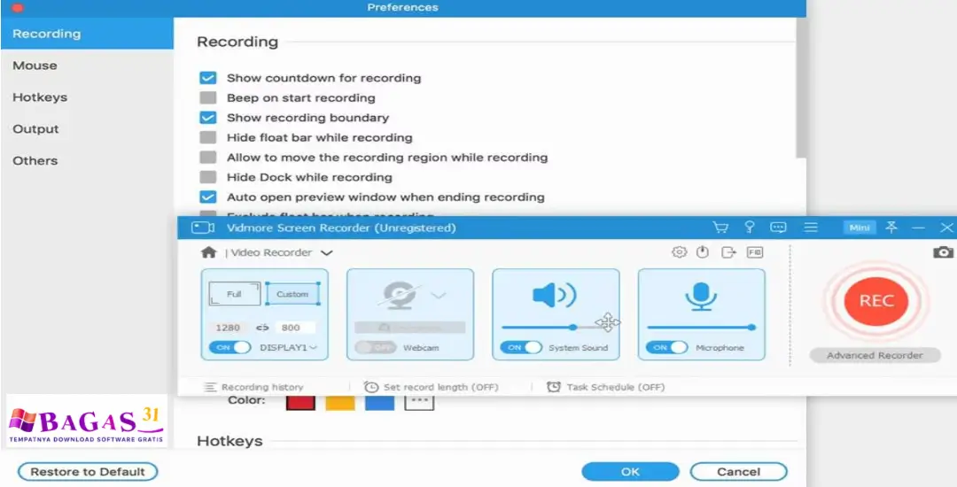 vidmore screen recorder gratis