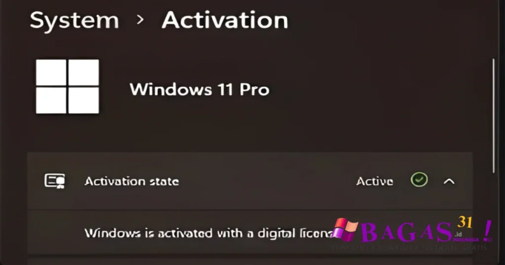 Windows 11 Professional Preactivated Full Download
