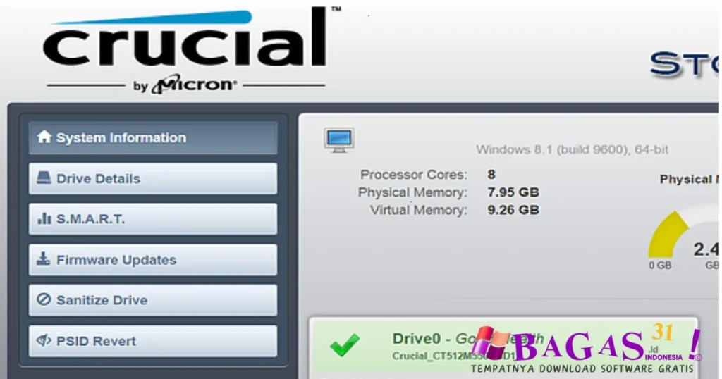 Crucial Storage Executive 11.03.032025.00 Full Download