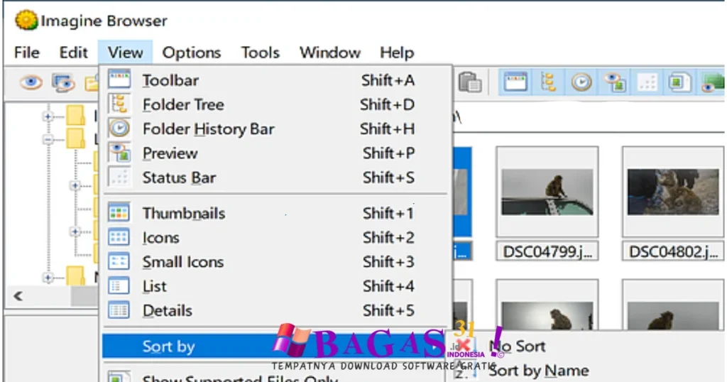 Imagine v2.0.1 Full Download