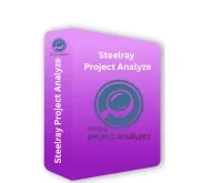Steelray Project Analyze