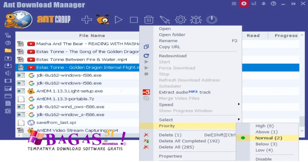 Ant Download Manager 2.15.10.91278 Portable Full Download