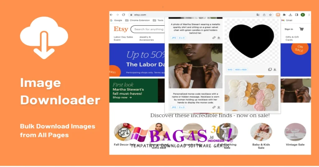 Bulk Image Downloader 6.59 Full Version Download