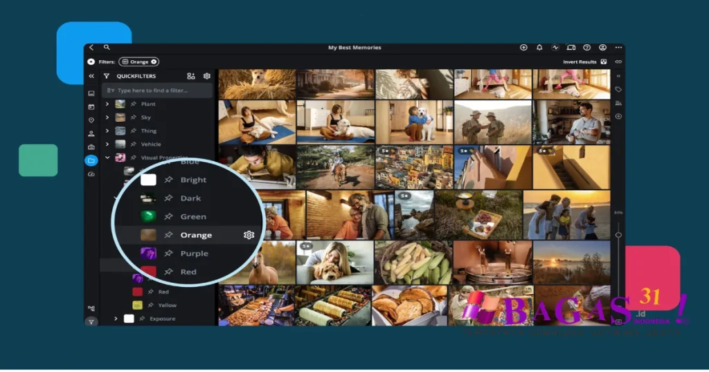 FlipFocus Photo Organizer 1.3.10 Full Download