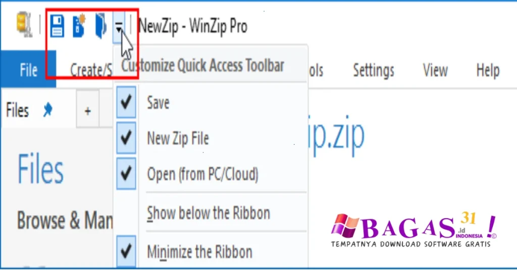 WinZip Pro 29.0.16416 Full Version Download