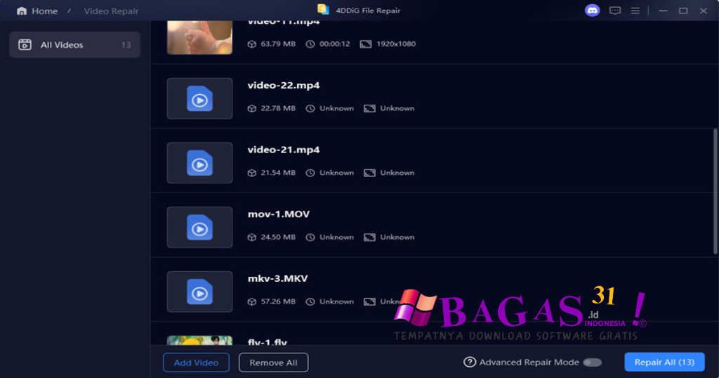 4DDig File Repair
