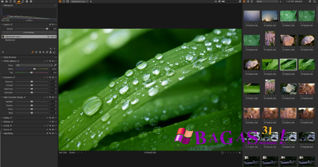 Capture One Pro