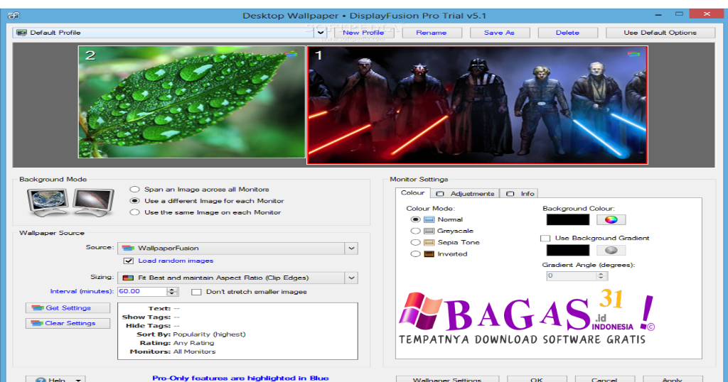 DisplayFusion Pro