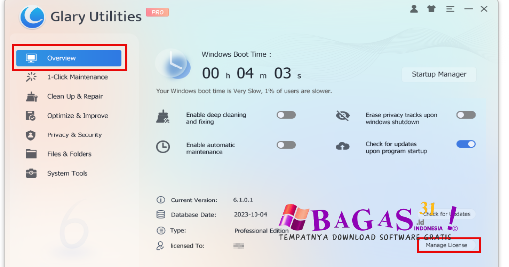 Glary Utilities Pro