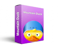 Mountain Duck