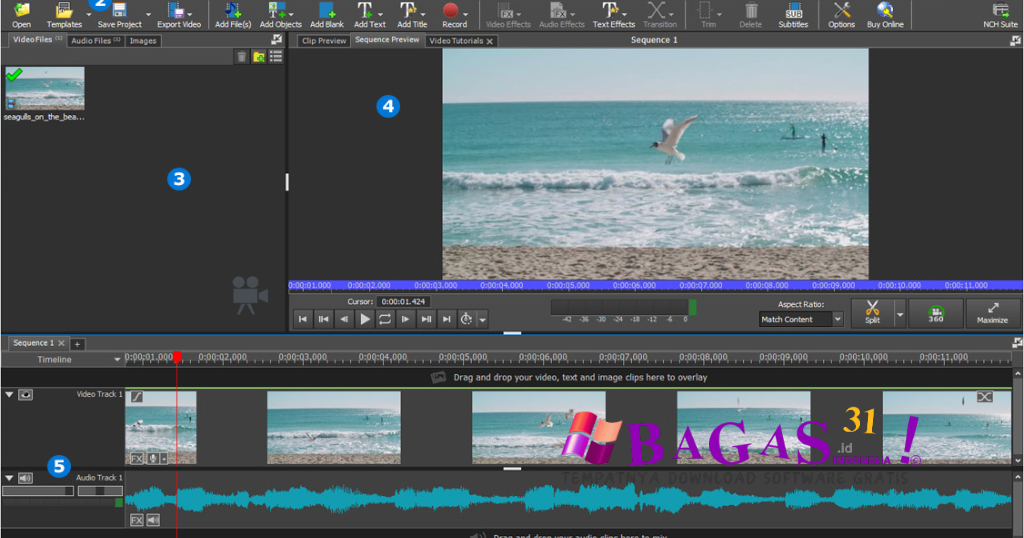 NCH Videopad Pro
