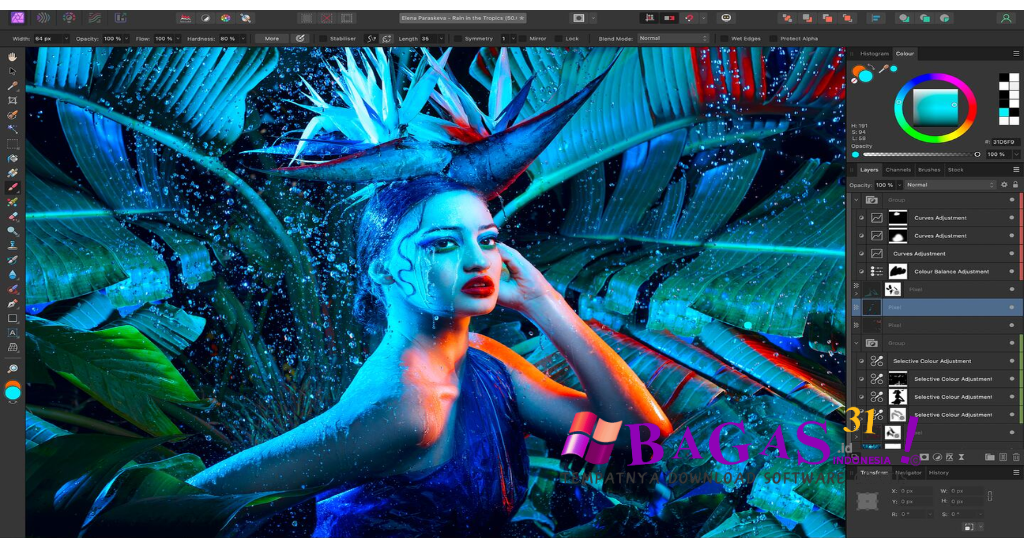 Serif Affinity Designer