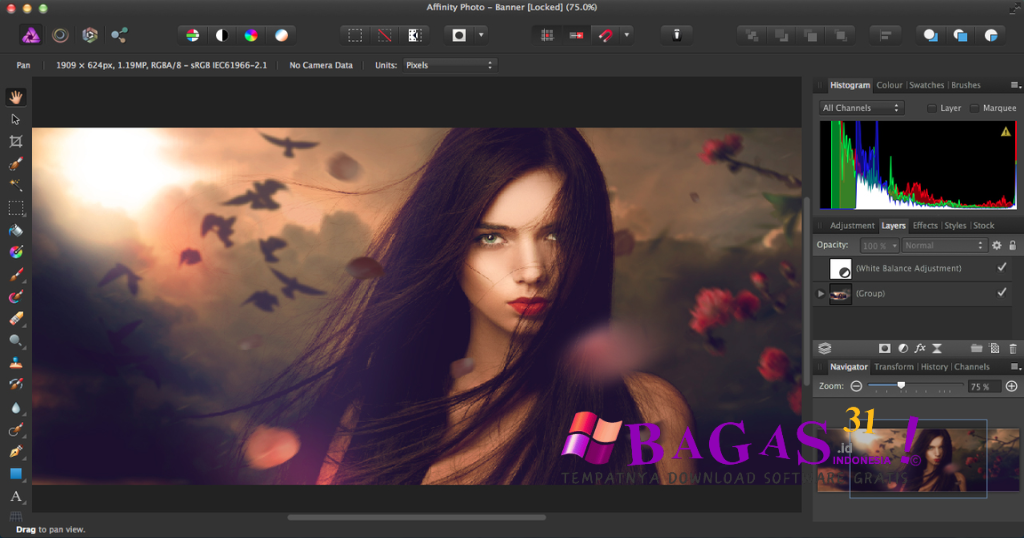 Serif Affinity Photo