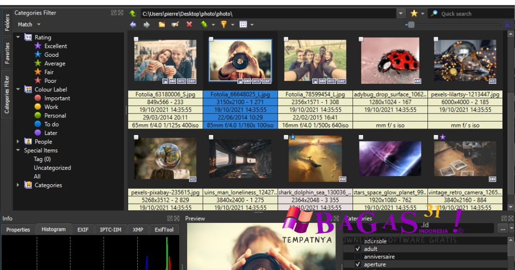 XNView