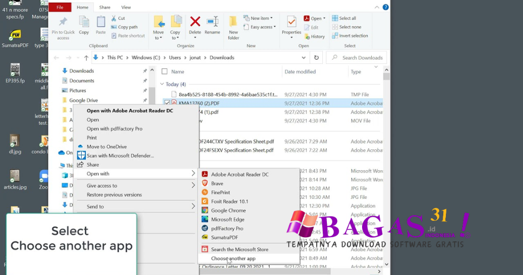 pdfFactory Pro