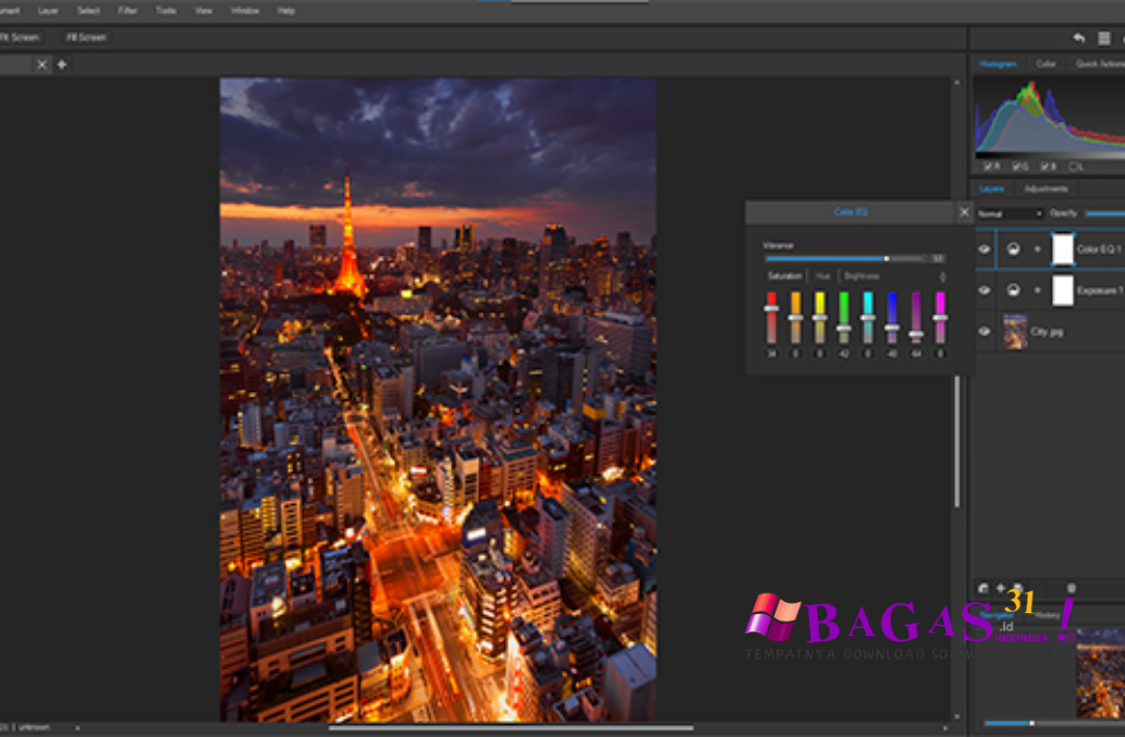 ACDSee Gemstone Photo Editor