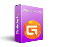 DiskGenius Pro