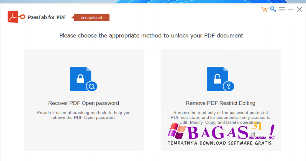 PassFab for PDF