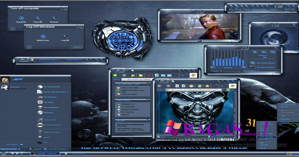 Stardock WindowBlinds