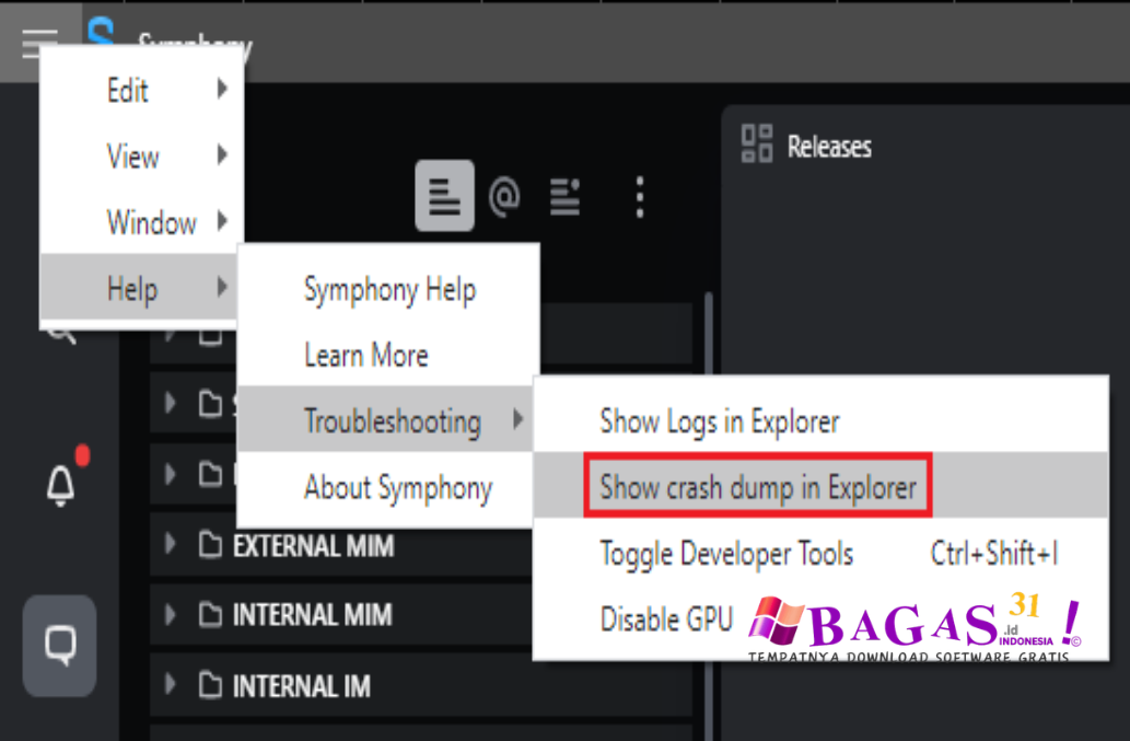 Symphony Dump File