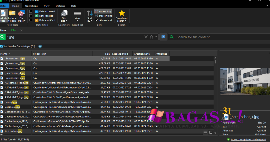 UltraSearch Professional