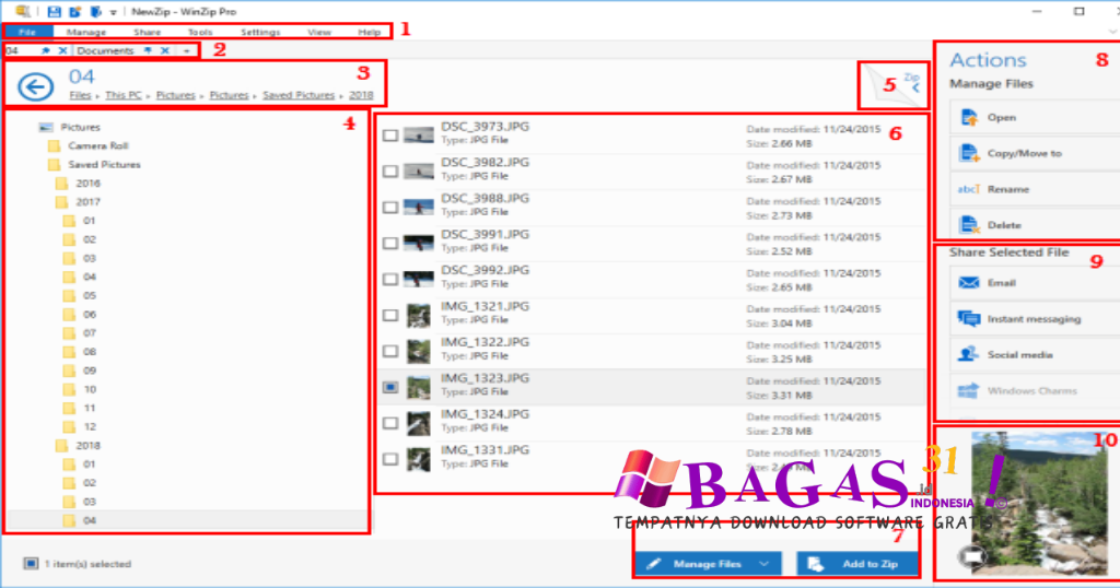 WinZip Pro